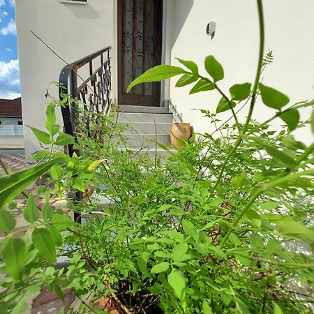 Meuble Avec Deux Appartement *